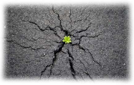 Neuaufbau einer Webseite